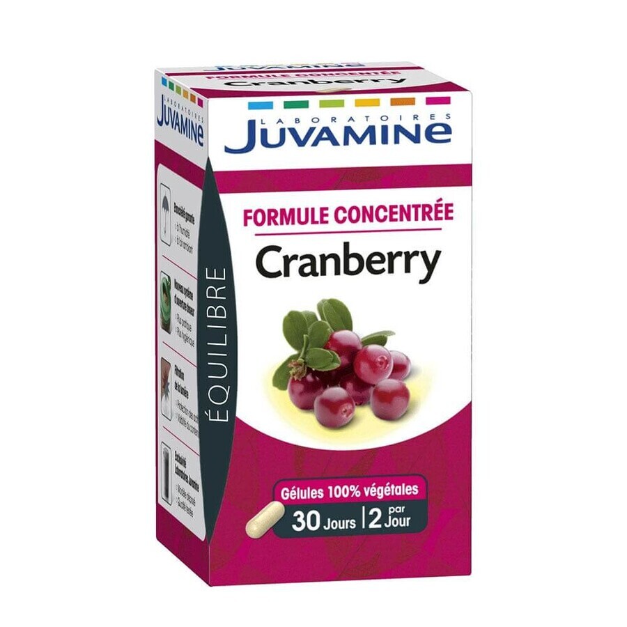 Juvamine Concentrato di mirtillo rosso 60 geluli