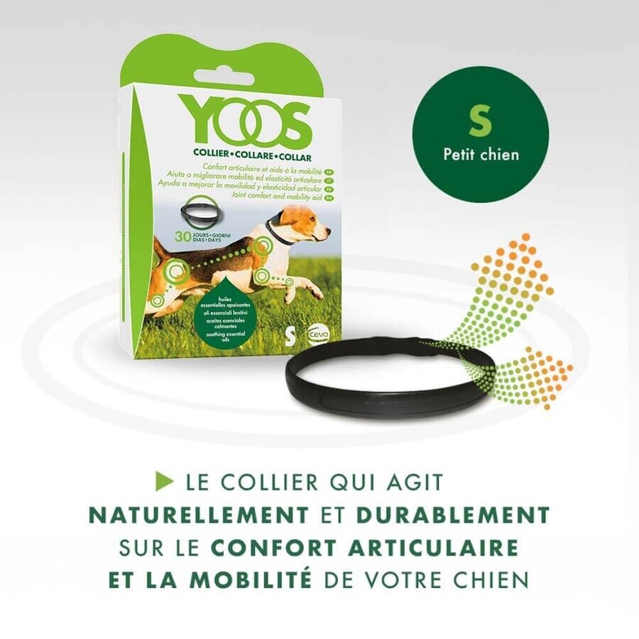 Ceva Yoos Necklace Small Dog Size <10 kg Joint Wellness x1 Ceva Yoos Necklace Small Dog Size <10 kg Joint Wellness x1