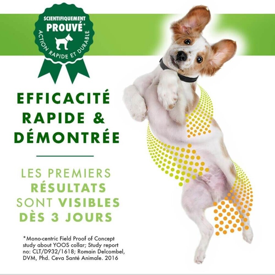 Ceva Yoos Necklace Small Dog Size <10 kg Joint Wellness x1 Ceva Yoos Necklace Small Dog Size <10 kg Joint Wellness x1