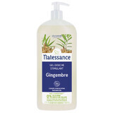 Natessance Organic stimulating ginger shower gel 1l
