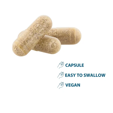 Anacaps Expert, 90 capsule, Ducray 