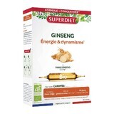 Superdiet Ginseng Bio Énergie & Dynamisme x20 Ampoules