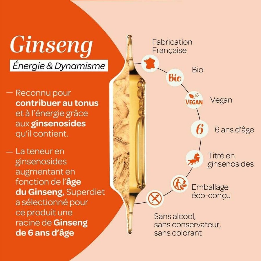 Superdiet Bio Ginseng Versterkend Énergie & Dynamisme x 20 bollen Superdiet Bio Ginseng Versterkend Énergie & Dynamisme x 20 bollen
