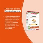 Superdiet Bio Ginseng Versterkend Énergie & Dynamisme x 20 bollen