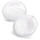 Avent Accessories Disposable Breast Absorber Cups x60