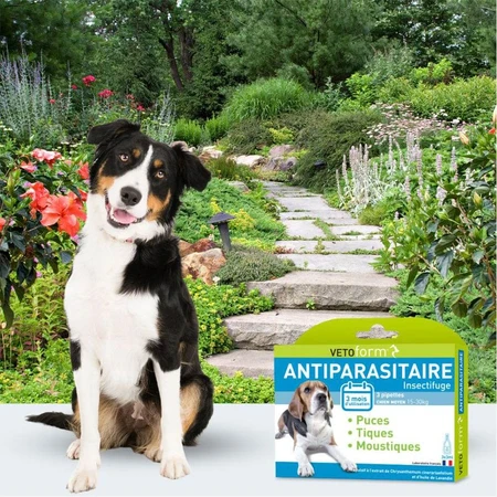 Vetoform Hond Antiparasitaire Pipetten Medium 15-30 kg 3x3ml