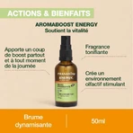 Pranarôm Aromaboost Energienevel Bio 50ml
