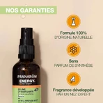 Pranarôm Aromaboost Energienevel Bio 50ml
