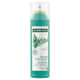 Klorane Ortiga Champú Sec Purifiant Cabello Graso 150ml