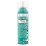 Klorane Ortie Shampooing Sec Purifiant Cheveux Gras 150ml