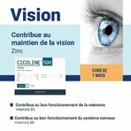 Densmore CHICOLINE 500 Maintien de la Vision 30 SACHETS