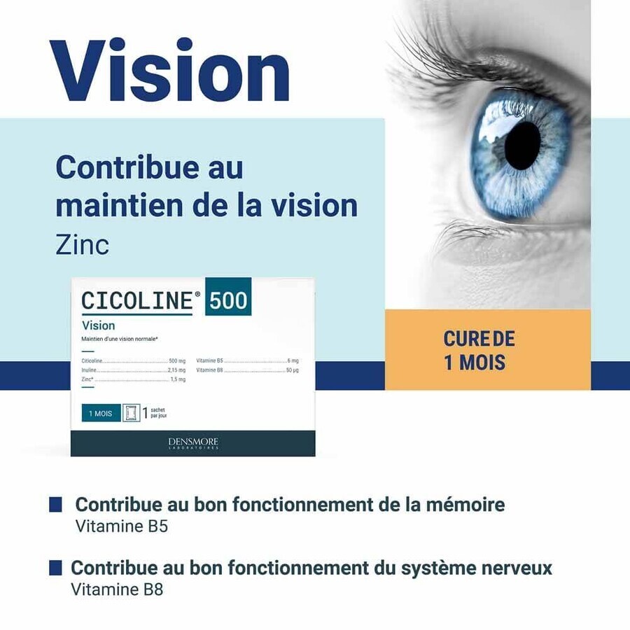 Densmore CHICOLINE 500 Maintien de la Vision 30 SACHETS
