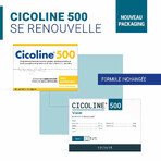 Densmore CHICOLINE 500 Maintien de la Vision 30 SACHETS