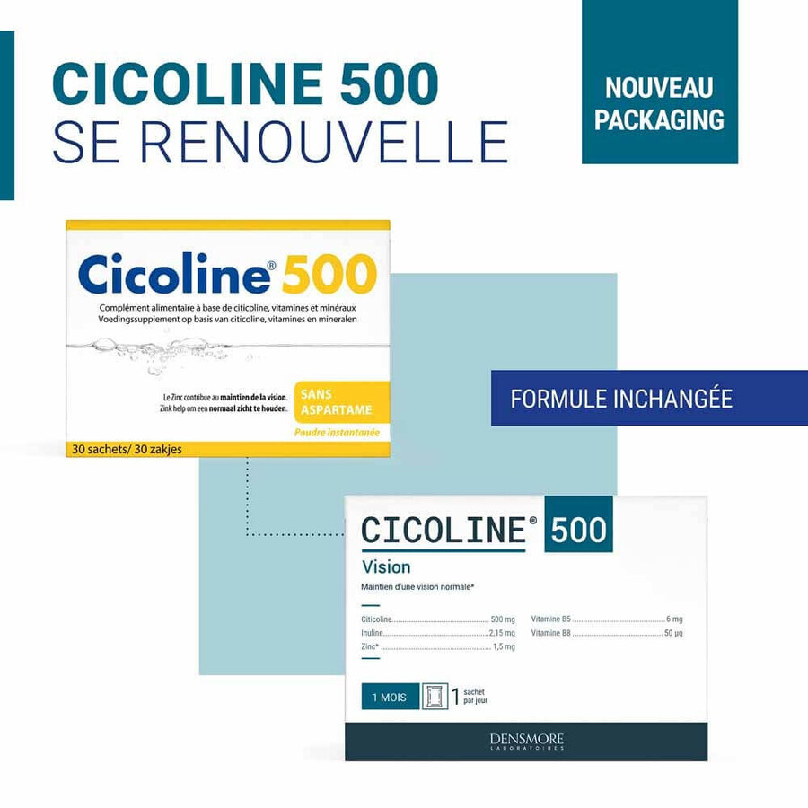 Densmore CHICOLINE 500 Maintien de la Vision 30 SACHETS