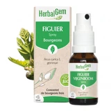 Herbalgem Bourgeons Higo Spray Bio 15ml