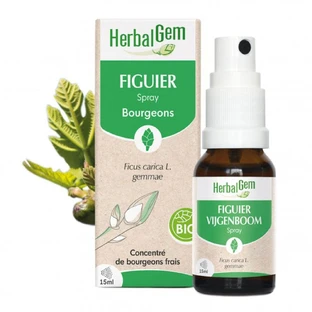 Herbalgem Bourgeons Vijgen Spray Bio 15ml