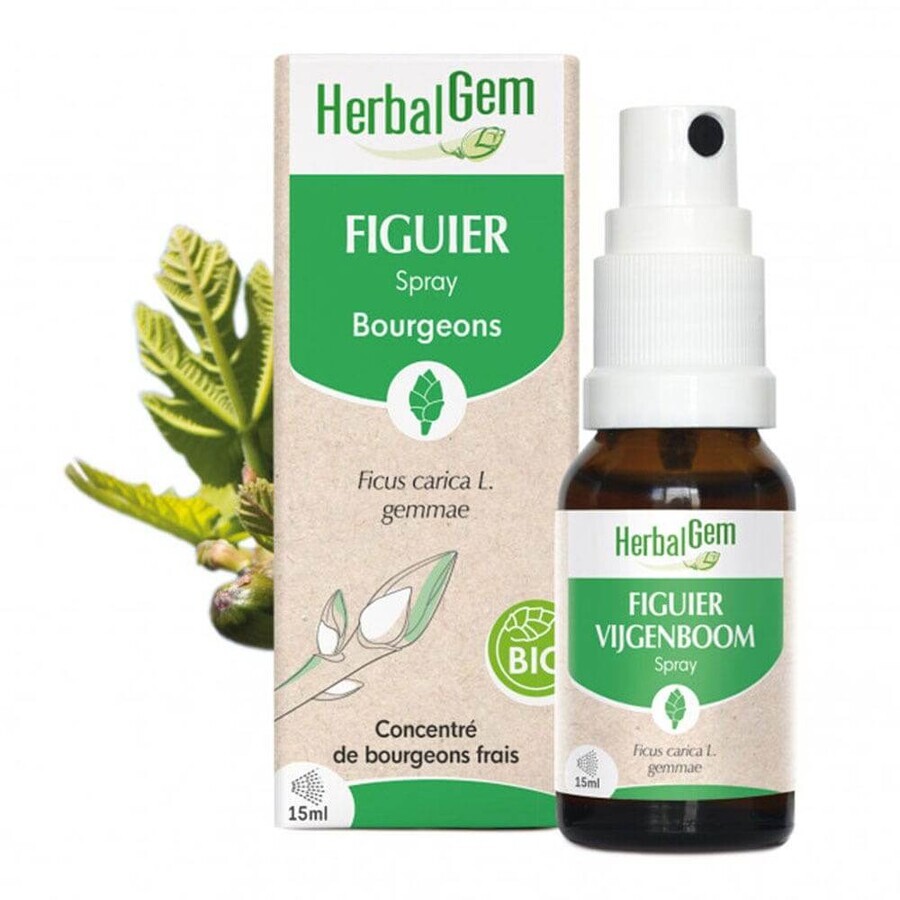 Herbalgem Bourgeons Fico spray Bio 15ml
