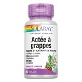 Solaray Cohosh Cimicifuga Racemosa standardisiert 545 mg x60 pflanzliche Zellulosekapseln