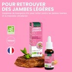 Santarome Complexe Jambes Legeres Bio Gémmothérapie 30 ml Santarome Complexe Jambes Legeres Bio Gémmothérapie 30 ml