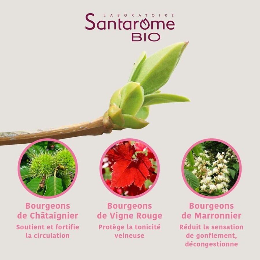 Santarome Complexe Jambes Legeres Bio Gémmothérapie 30 ml