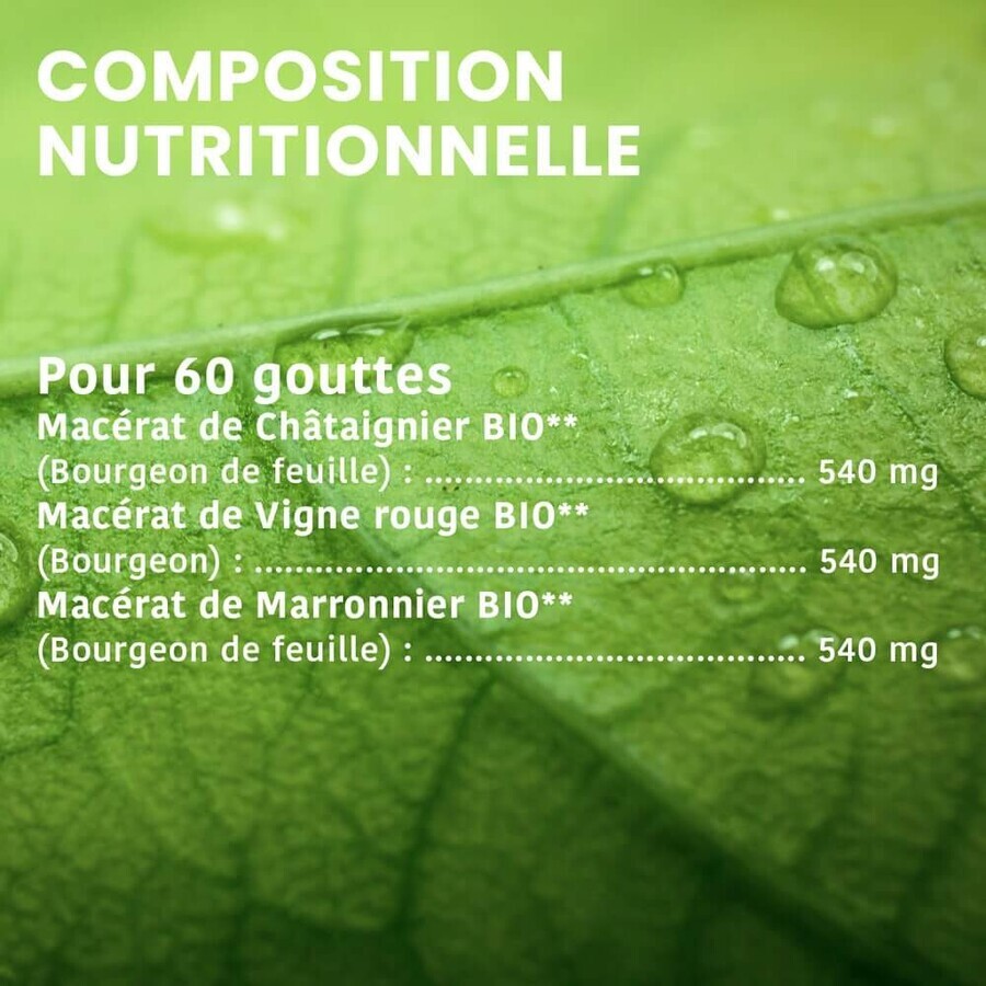 Santarome Complexe Jambes Legeres Bio Gémmothérapie 30 ml