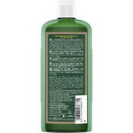 Logona Organic Beer and Honey Volume Shampoo 250ml