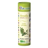 Ayur-Vana Boswellia Gelenkgesundheit 120 Kapseln