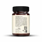 A-LAB OPC Uva Liposomal 200mg Circulación antioxidante Piel 60 cápsulas A-LAB OPC Uva Liposomal 200mg Circulación antioxidante Piel 60 cápsulas
