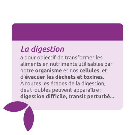 Herbesan Bien-Être Du Foie Bio 20 Ampoules