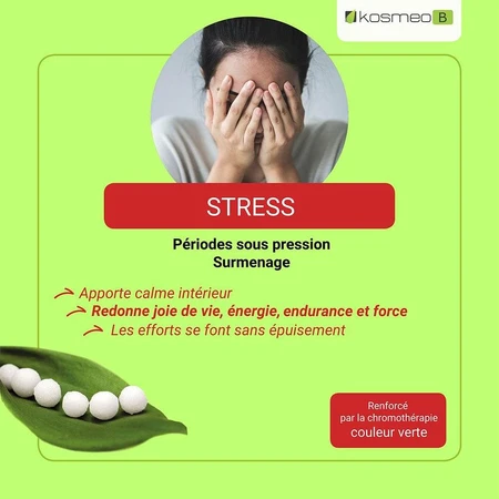 Kosmeo Fleurs de Bach Stress Bio 120 granules