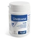 Pileje I Biane Jodium 120 tabletten