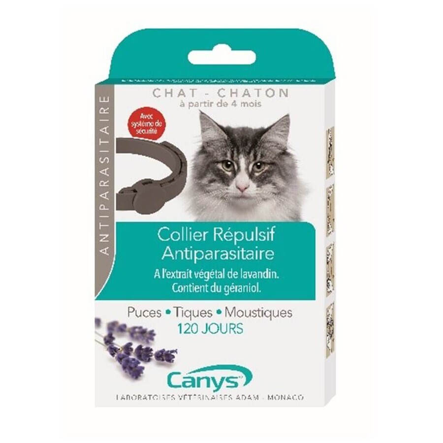 Canys Collare antiparassitario insettifugo per gatti e gattini 35cm