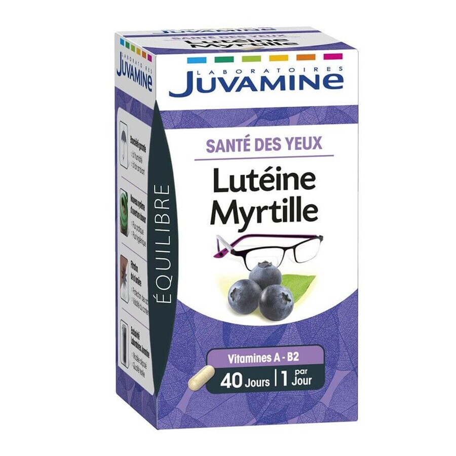 Juvamine Luteine Myrtille 40 Comprimes Sante Des Yeux