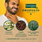 Santarome Propolis Royale biologische drievoudige werking spray 125 ml Santarome Propolis Royale biologische drievoudige werking spray 125 ml