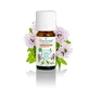 Puressentiel Thyme Essential Oil Borneol Bio 10ml