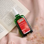 Weleda regenererende olie 100ml Weleda regenererende olie 100ml