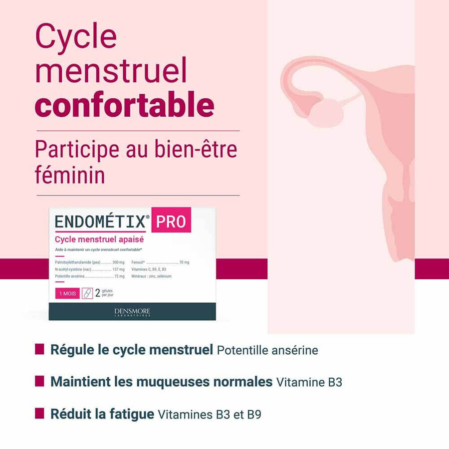 Densmore Gynecology Endometix x60 capsules