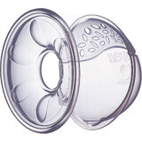 Avent 6 piezas de conchas de lactancia confort