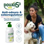 Ceva Douxo anti-odor and sebum-regulating shampoo S3 Seb oily skin or dandruff 500ml
