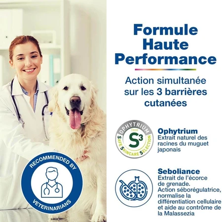 Ceva Douxo S3 Seb Shampooing Anti-Odeur Et Séborégulateur Peaux grasses ou pellicules 500ml