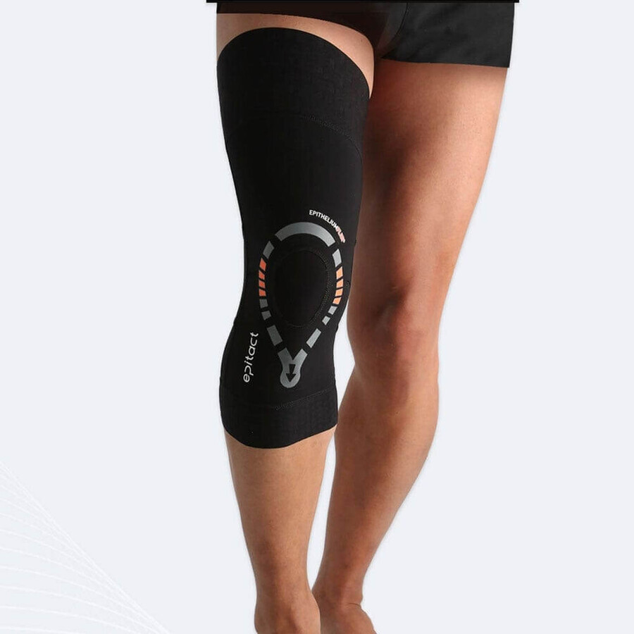 Epitact Sport Genouillere Epithelium Flex 01