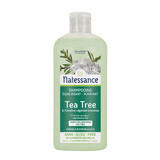 Natessance Tea Tree Balancing and Purifying Shampoo 250ml