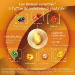 Oenobiol Sun Expert Zonnewarmtepomp Gevoelige Huid 30 Capsules Oenobiol Sun Expert Zonnewarmtepomp Gevoelige Huid 30 Capsules