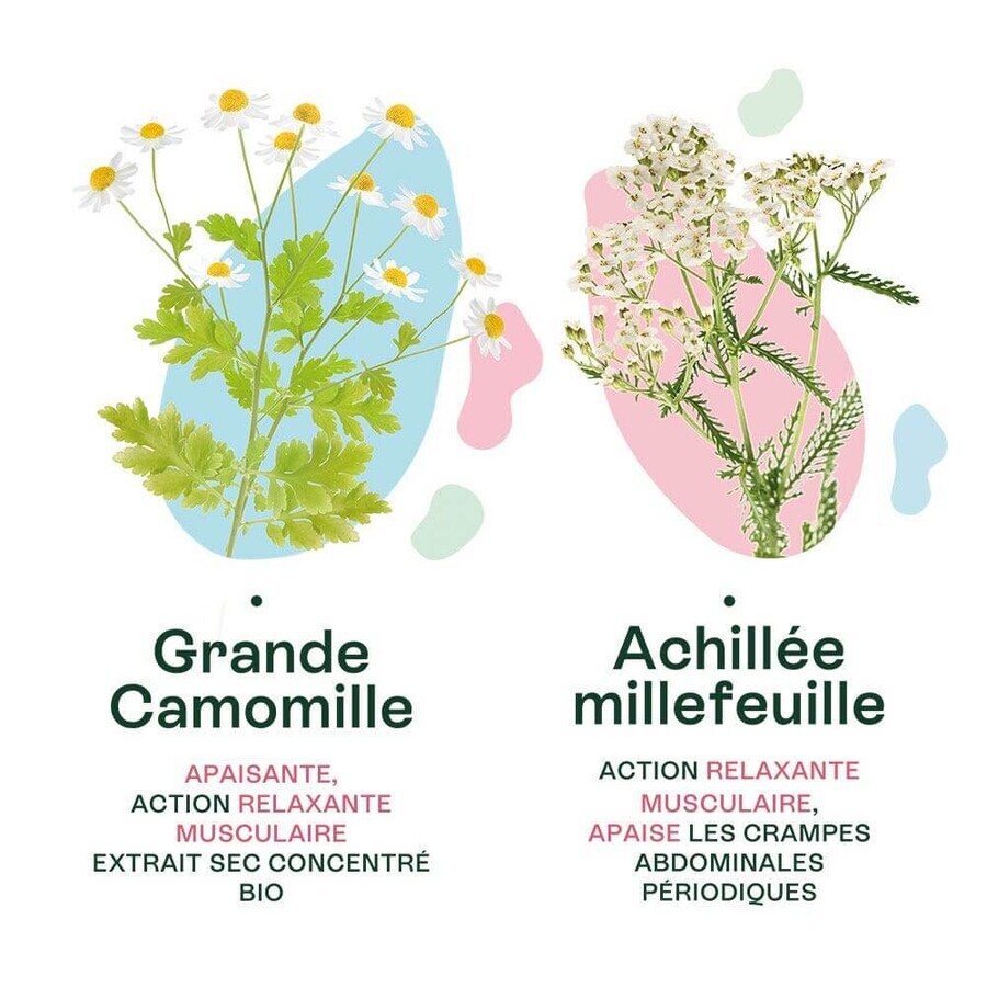 Naturactive Bio Schmerzperioden 10 gélules