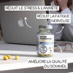 Kotor Pharma Neurovitol Anti-Stress Complex 60 Capsules Kotor Pharma Neurovitol Anti-Stress Complex 60 Capsules