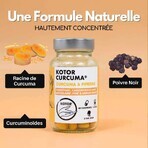 Kotor Pharma Curcuma + Piperine Digestion 60 Comprimés Kotor Pharma Curcuma + Piperine Digestion 60 Comprimés