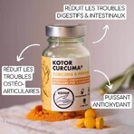 Kotor Pharma Curcuma + Piperine Digestion 60 Comprimés Kotor Pharma Curcuma + Piperine Digestion 60 Comprimés