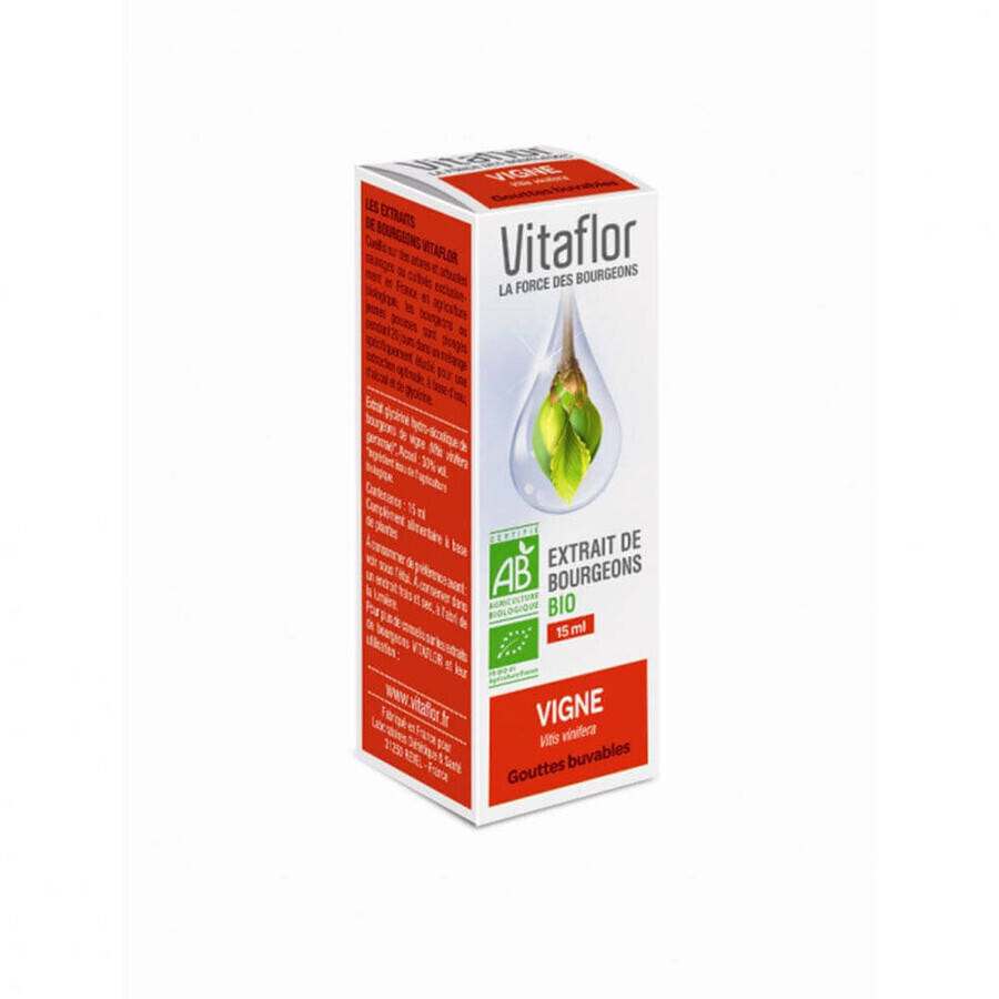 Cumpără Vitaflor Extract organic de muguri de viță de vie 15ml Vitaflor Extract organic de muguri de viță de vie 15ml
