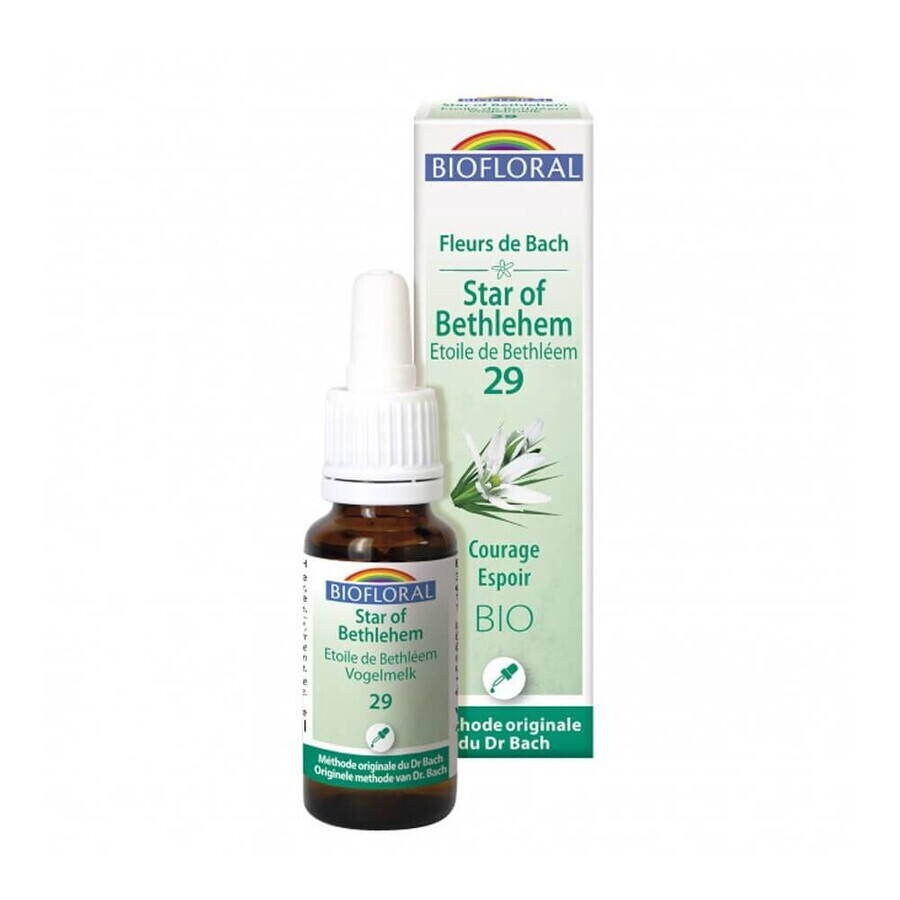 Biofloral N°29 Star of Bethlehem bio demeter Bachblüten Mut und Hoffnung 25ml