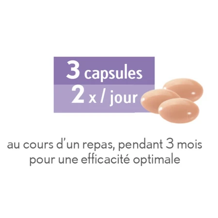 Oenobiol Flat Belly 60 Capsules
